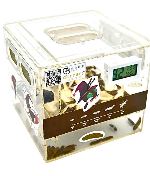Connect+ BSF farming kit