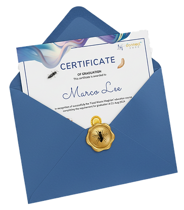 Certificate displayed inside an envelope