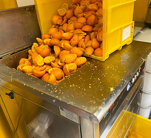 Fruit peels in production equipment