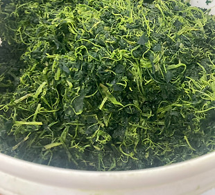 Collected green vegetable waste